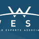 Illustration for article titled New Esports Association Kicks Off With Terrible Interview